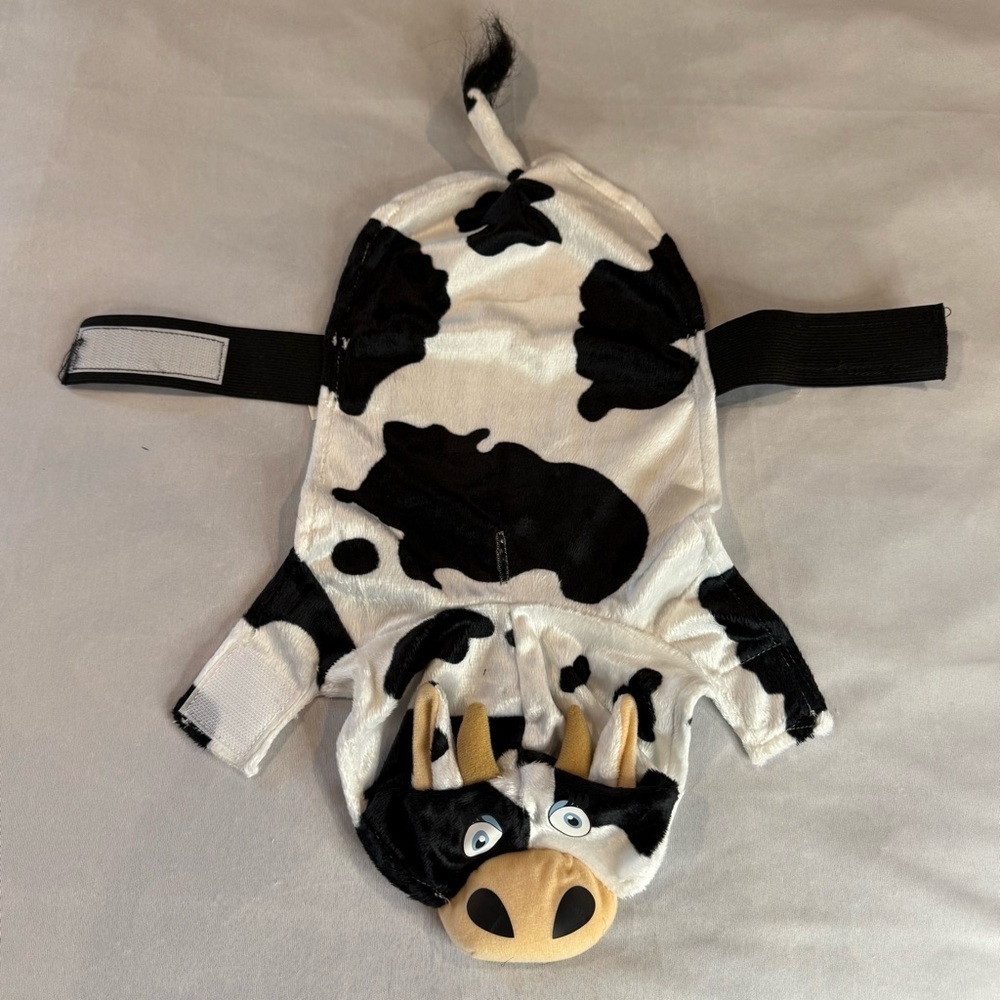Vibrant Life black & white cow-print Halloween costume for dog or cat Size XS